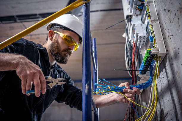 Best Electric Panel Repair  in Friendswood, TX